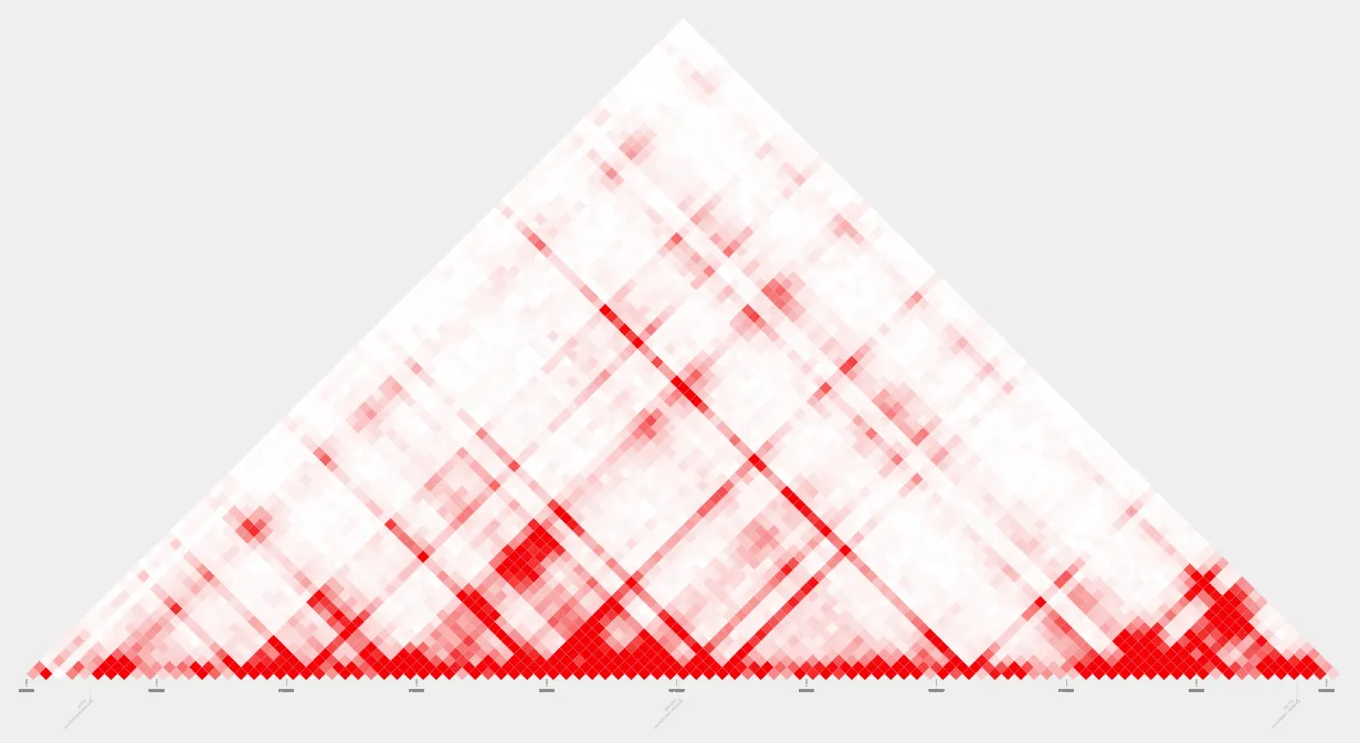 visualizing_loops1