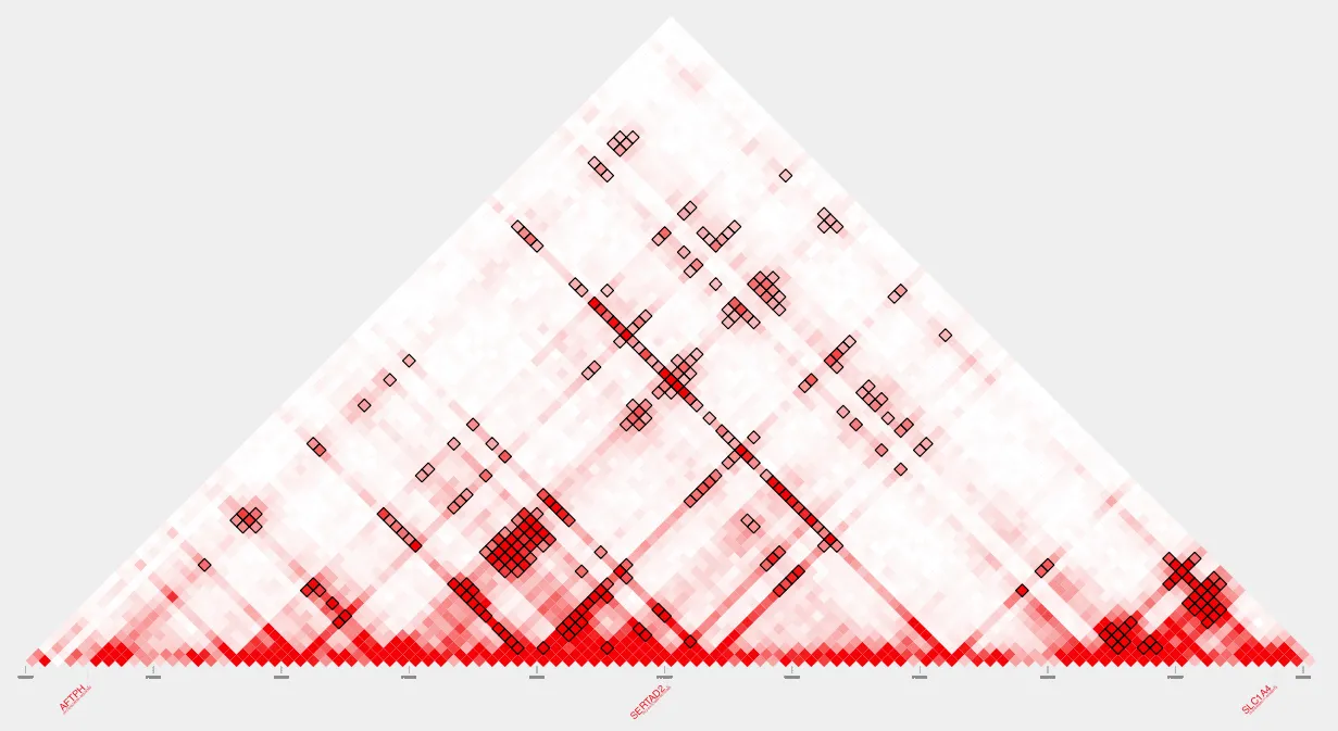 visualizing_loops2