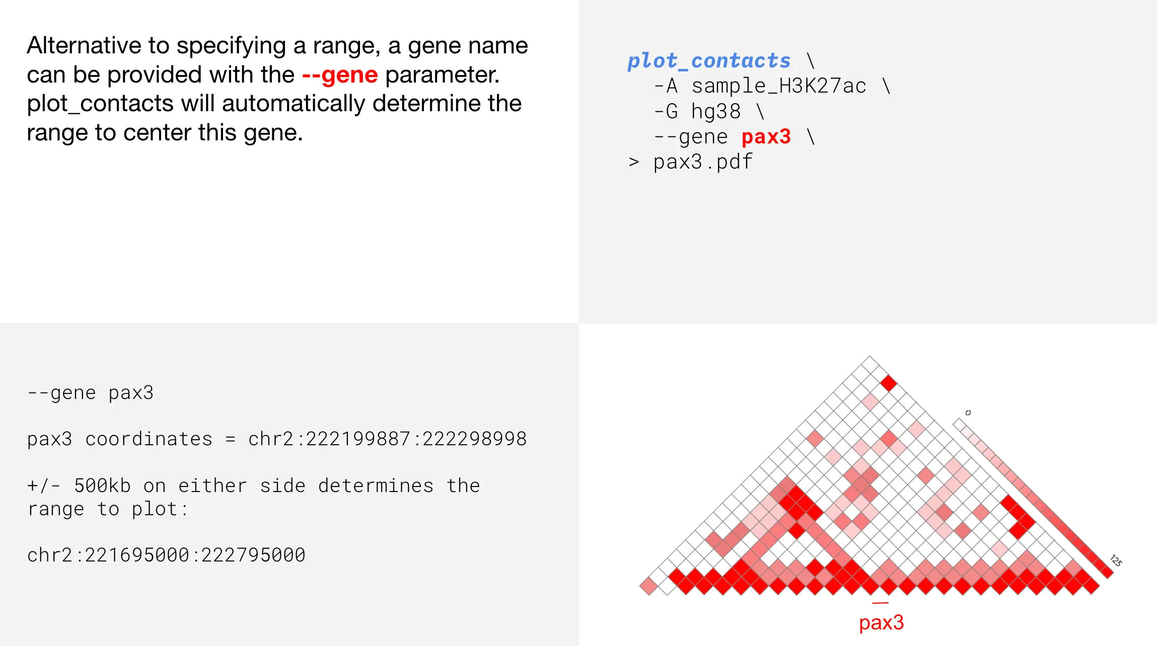 gene