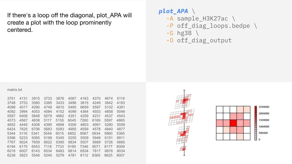 plot_apa2