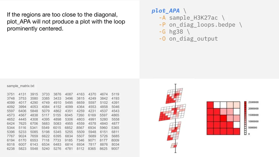 plot_apa7