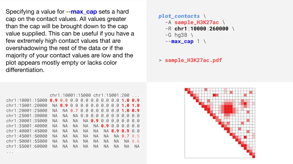 quant_cut